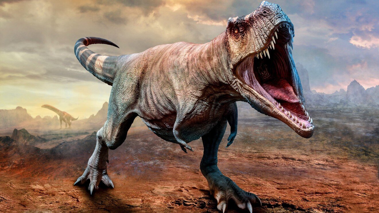 Tyrannosaurus Rex