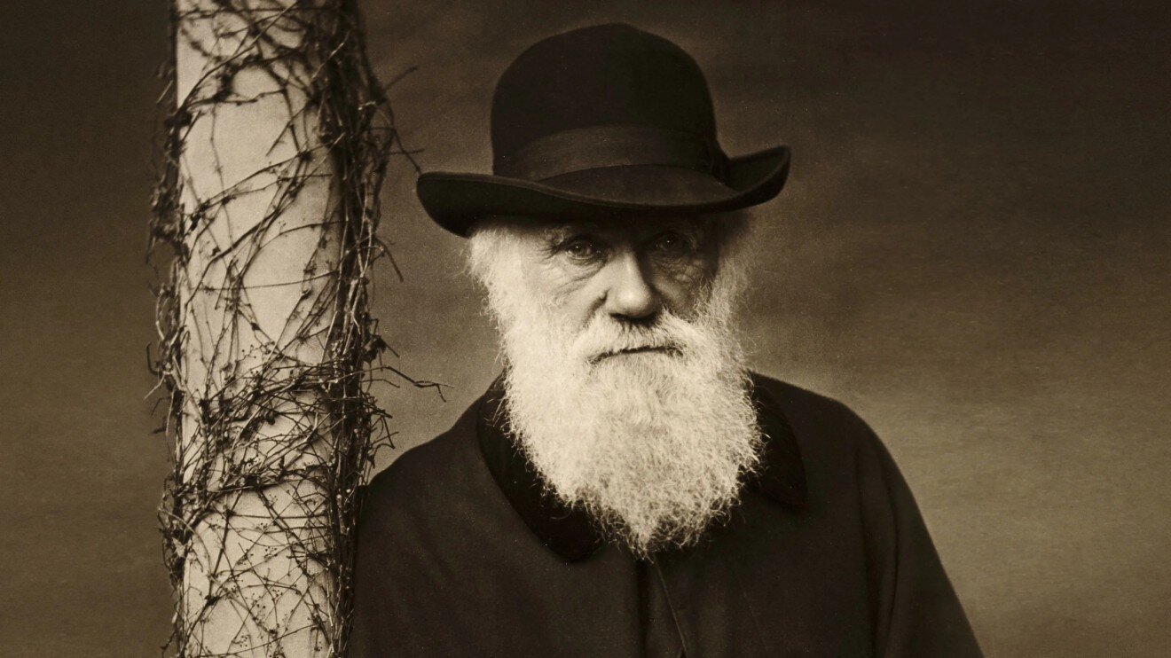 Darwin's Theory