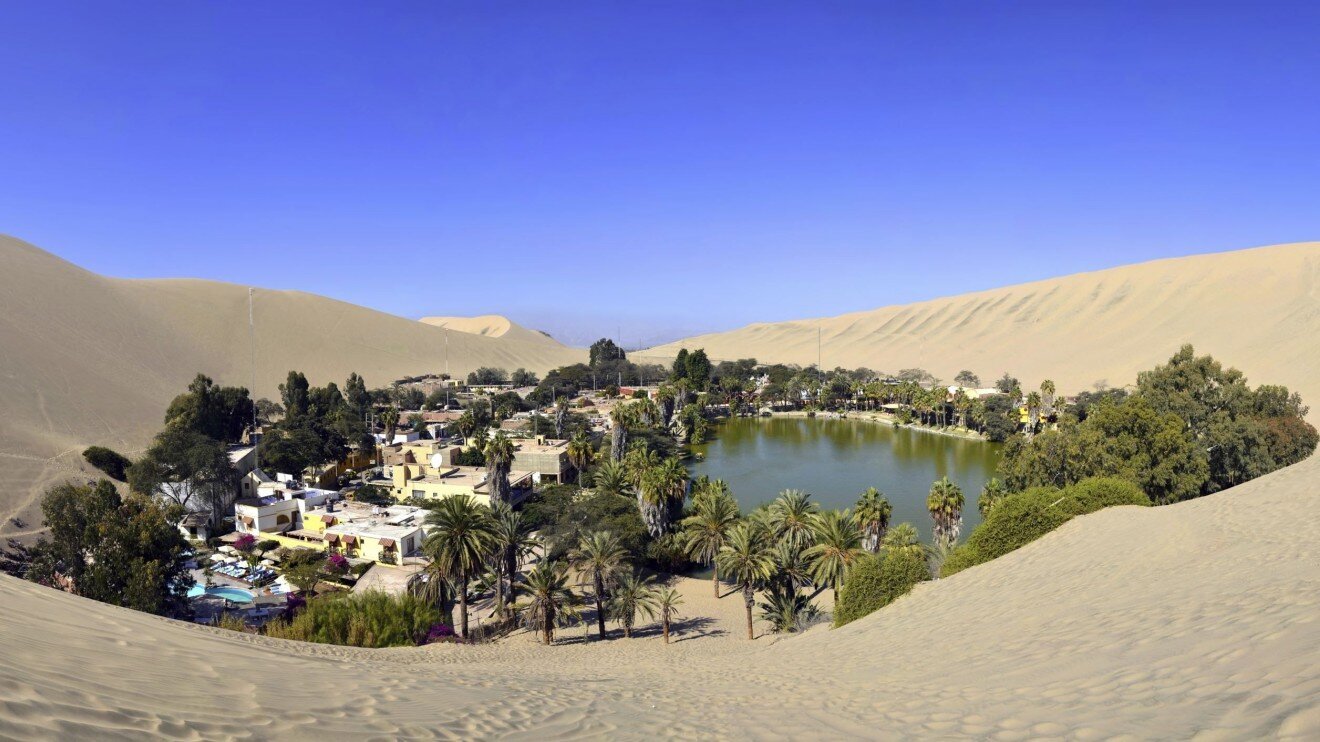Oasis
