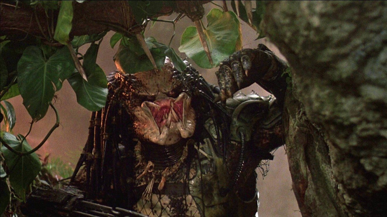 Predator
