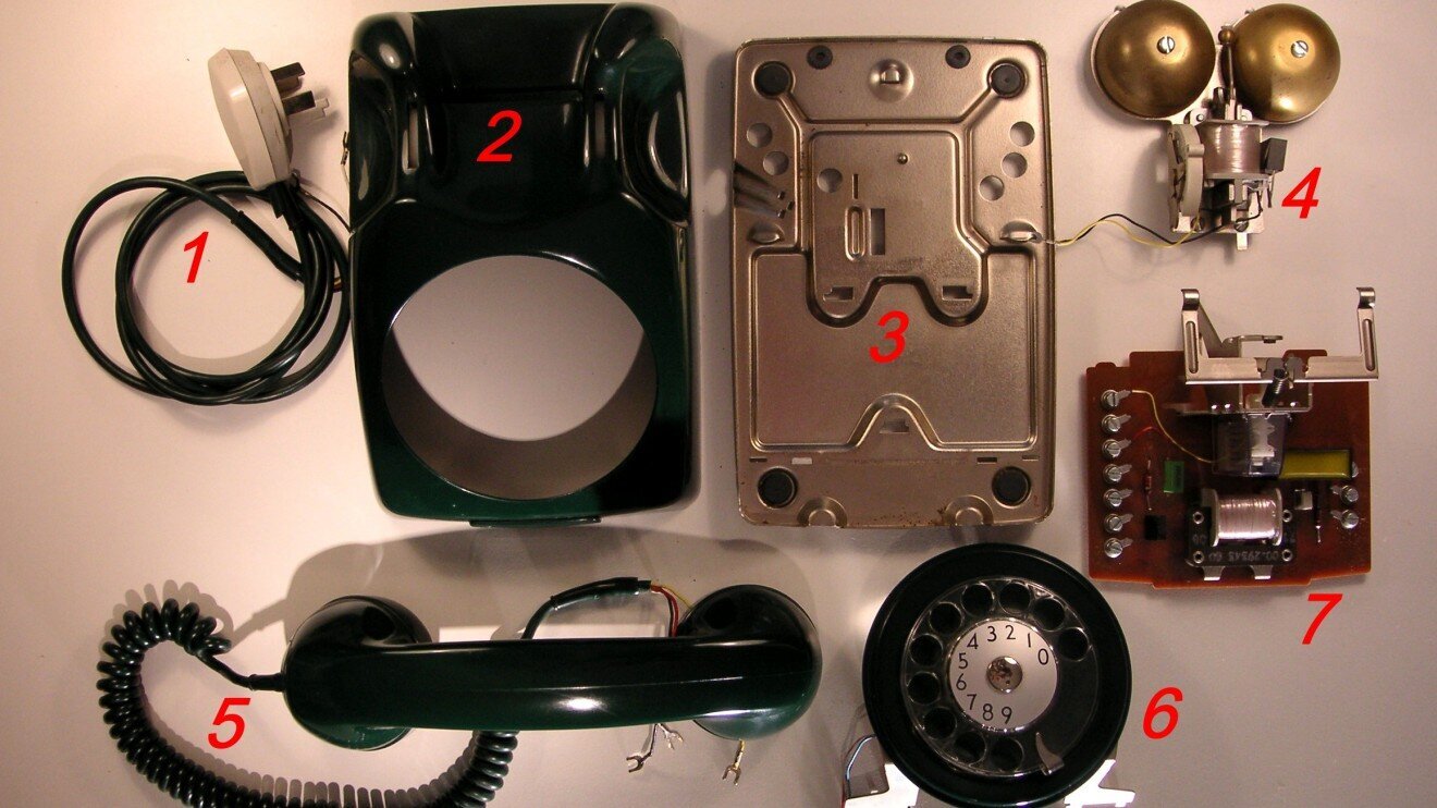The Buzzer