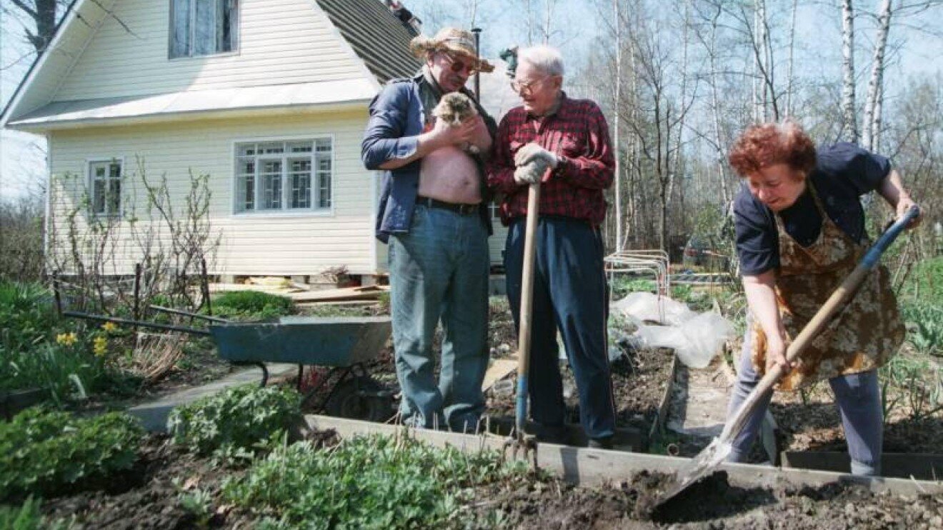 The Garden-Plot Six Sotkas