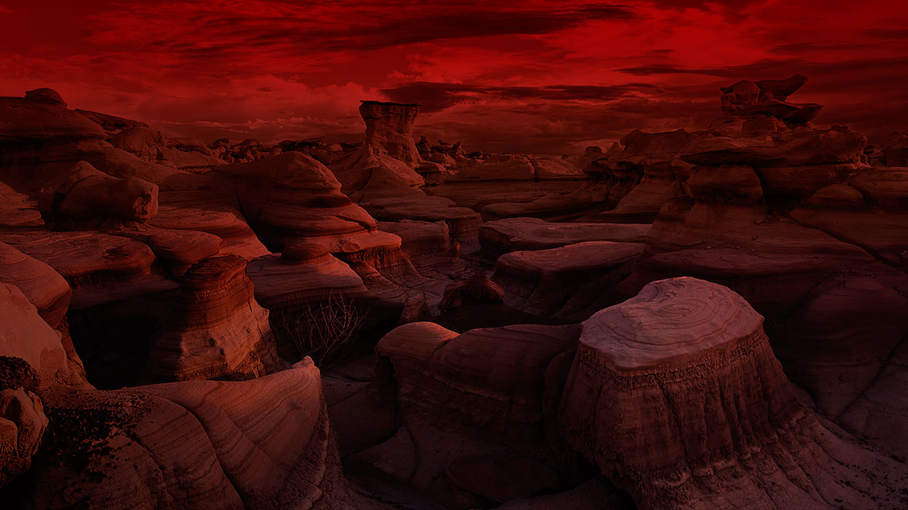 Escorted by Anton, I Limped Toward the Sands