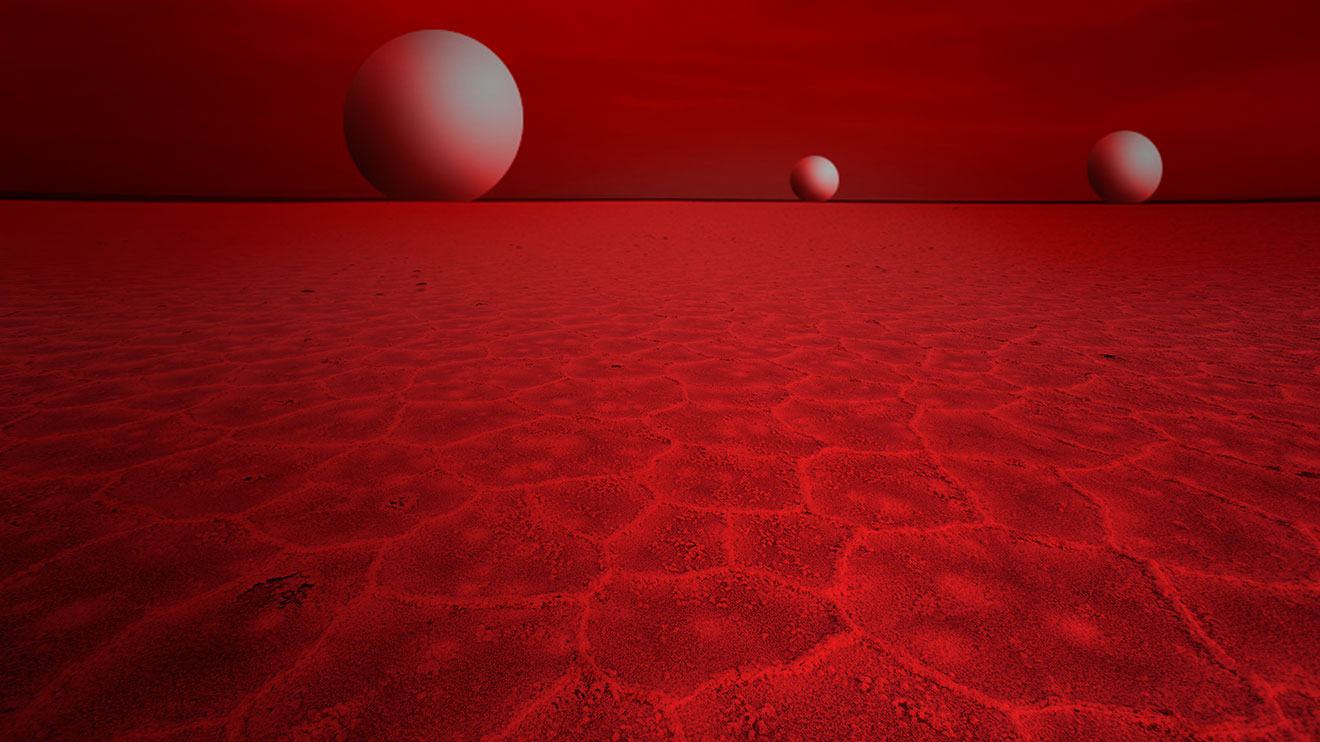 The Dust Settled, the Tremors Stopped